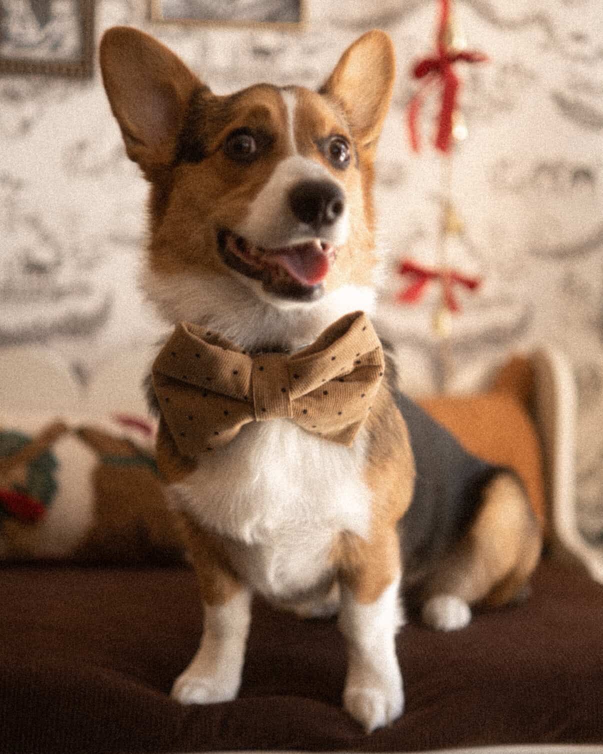 Camel Polka Dot Bowtie