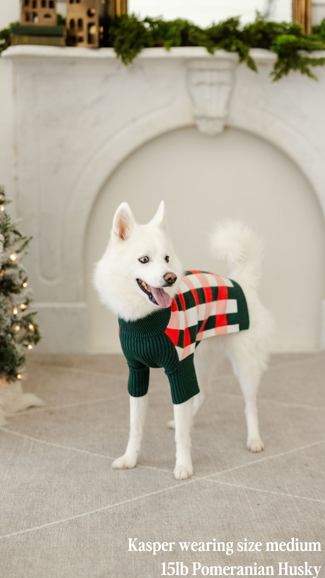 HOLIDAY SWEATER BUNDLE: ROSY PLAID & HOLLY JINGLES