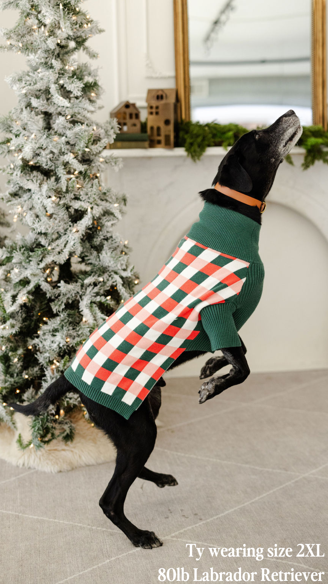 HOLLY JINGLES | KNITWEAR