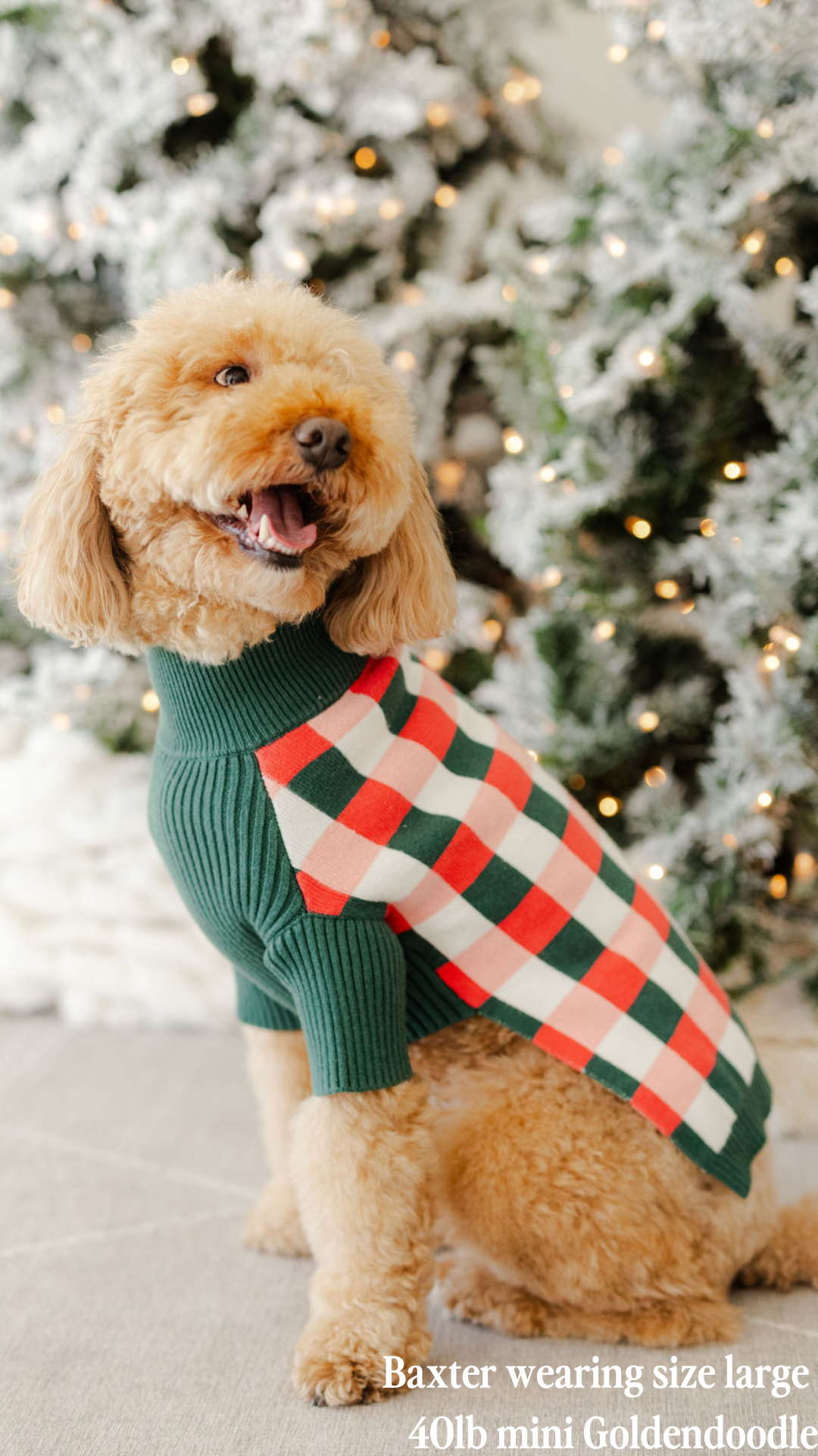 HOLIDAY SWEATER BUNDLE: ROSY PLAID & HOLLY JINGLES