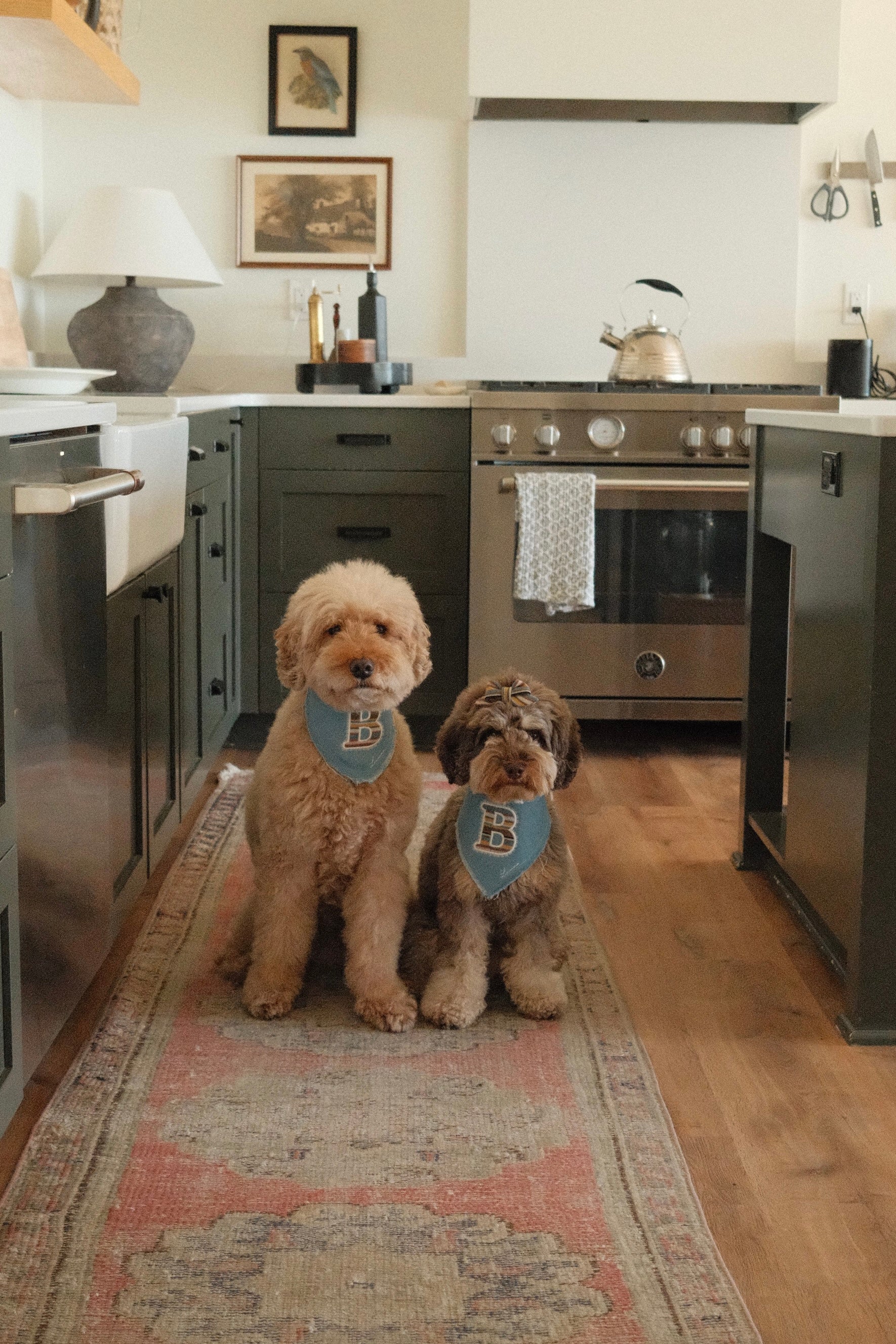The August Blue Bandana