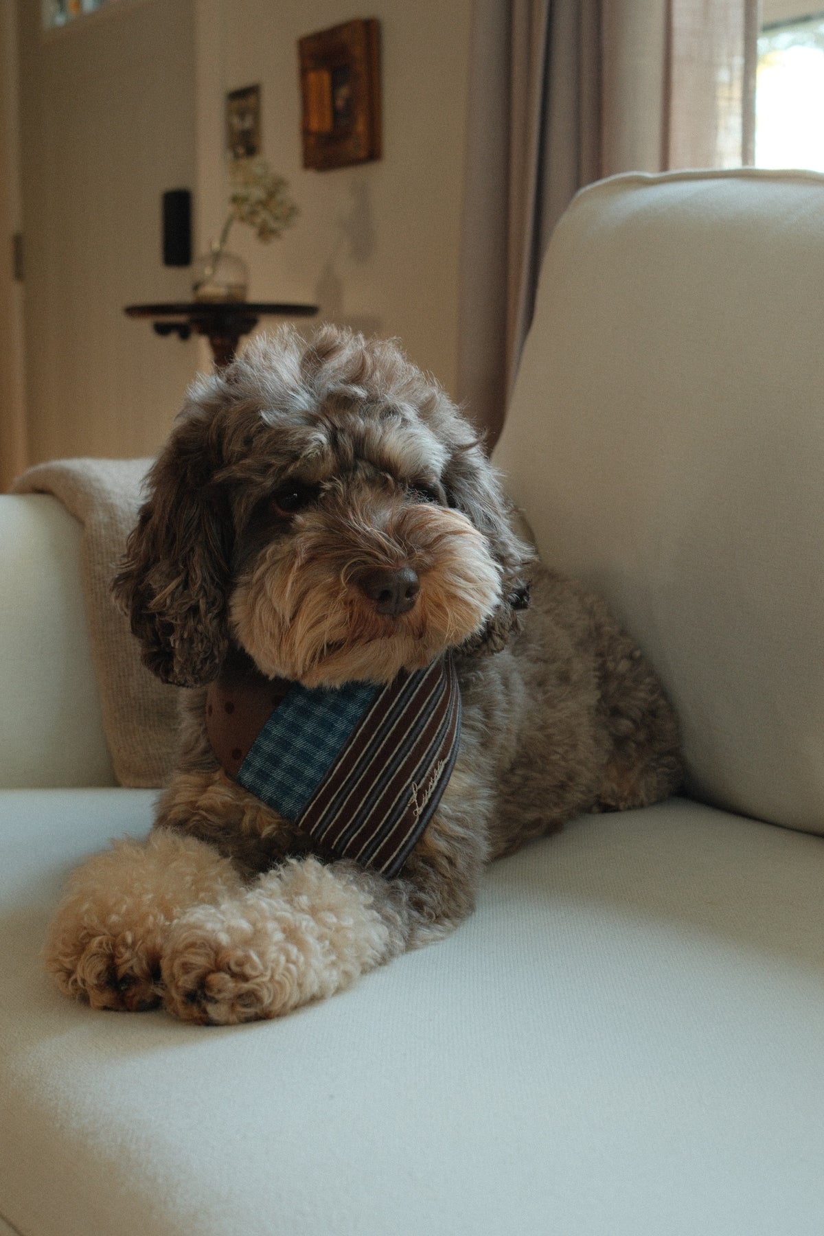 The Lottie Bandana