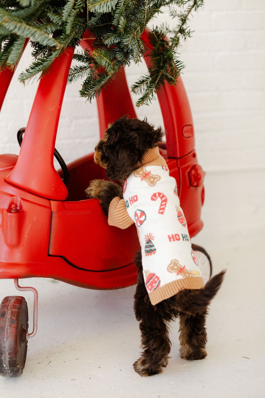 HOLLY JINGLES | KNITWEAR