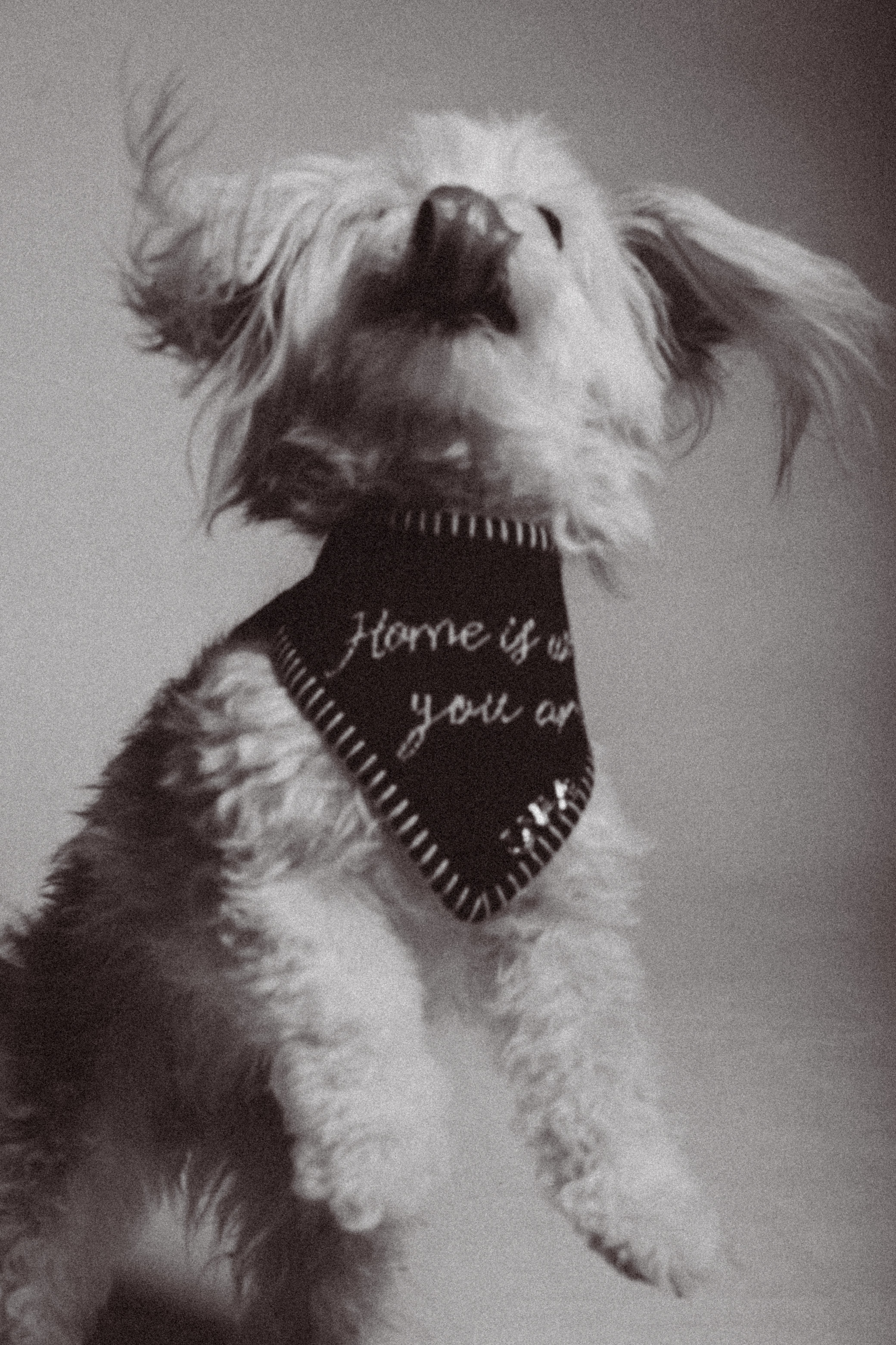 HOME IS WHERE YOU ARE