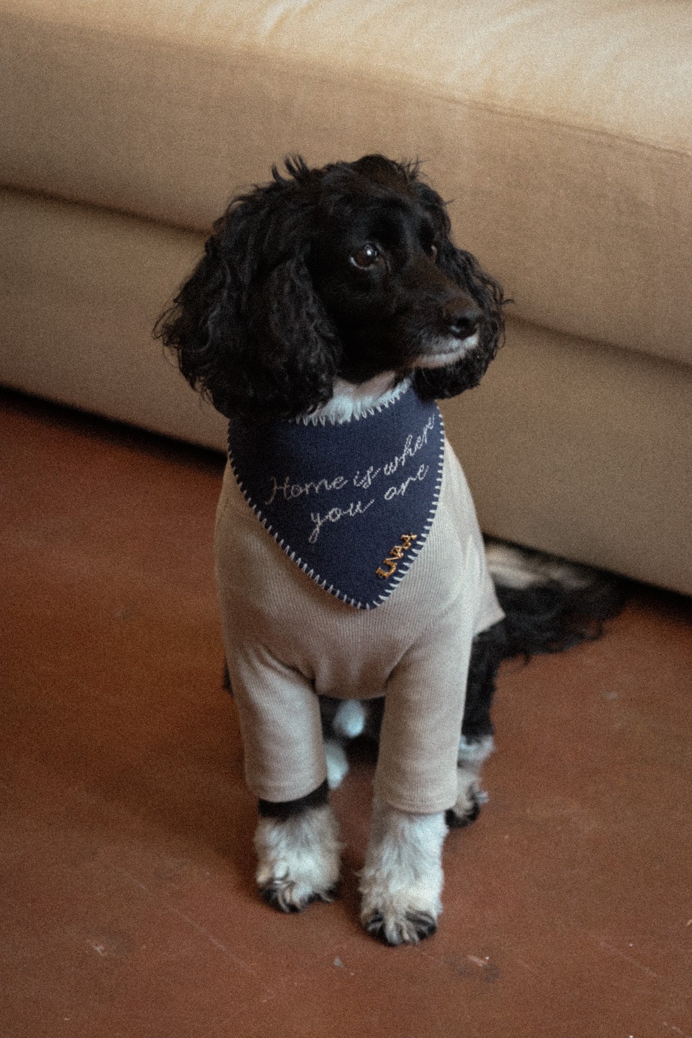 HOME IS WHERE YOU ARE