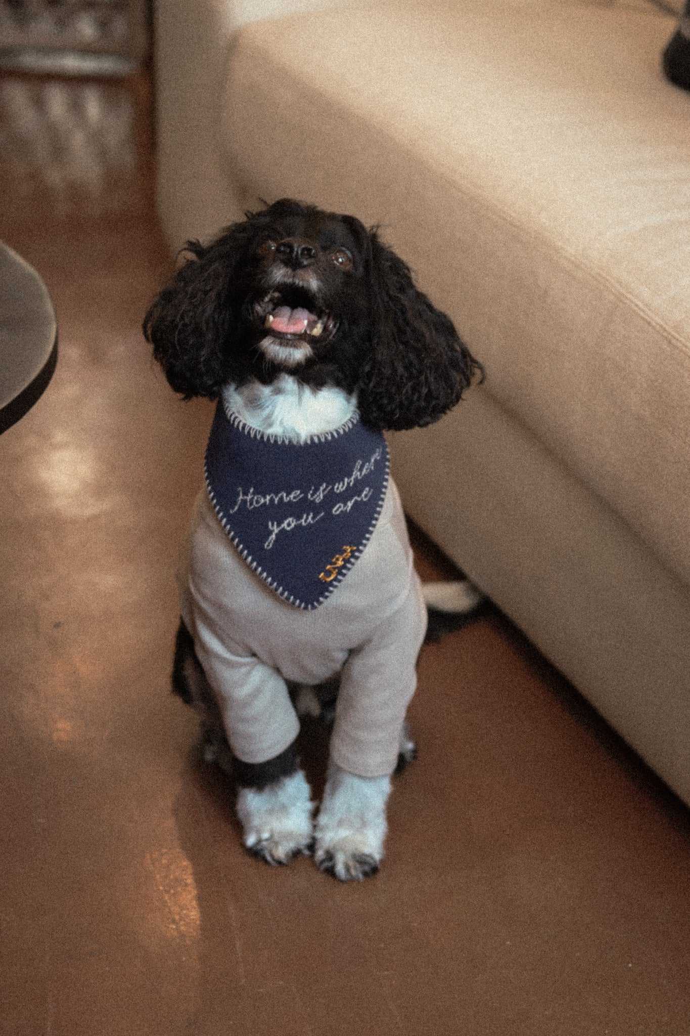 HOME IS WHERE YOU ARE