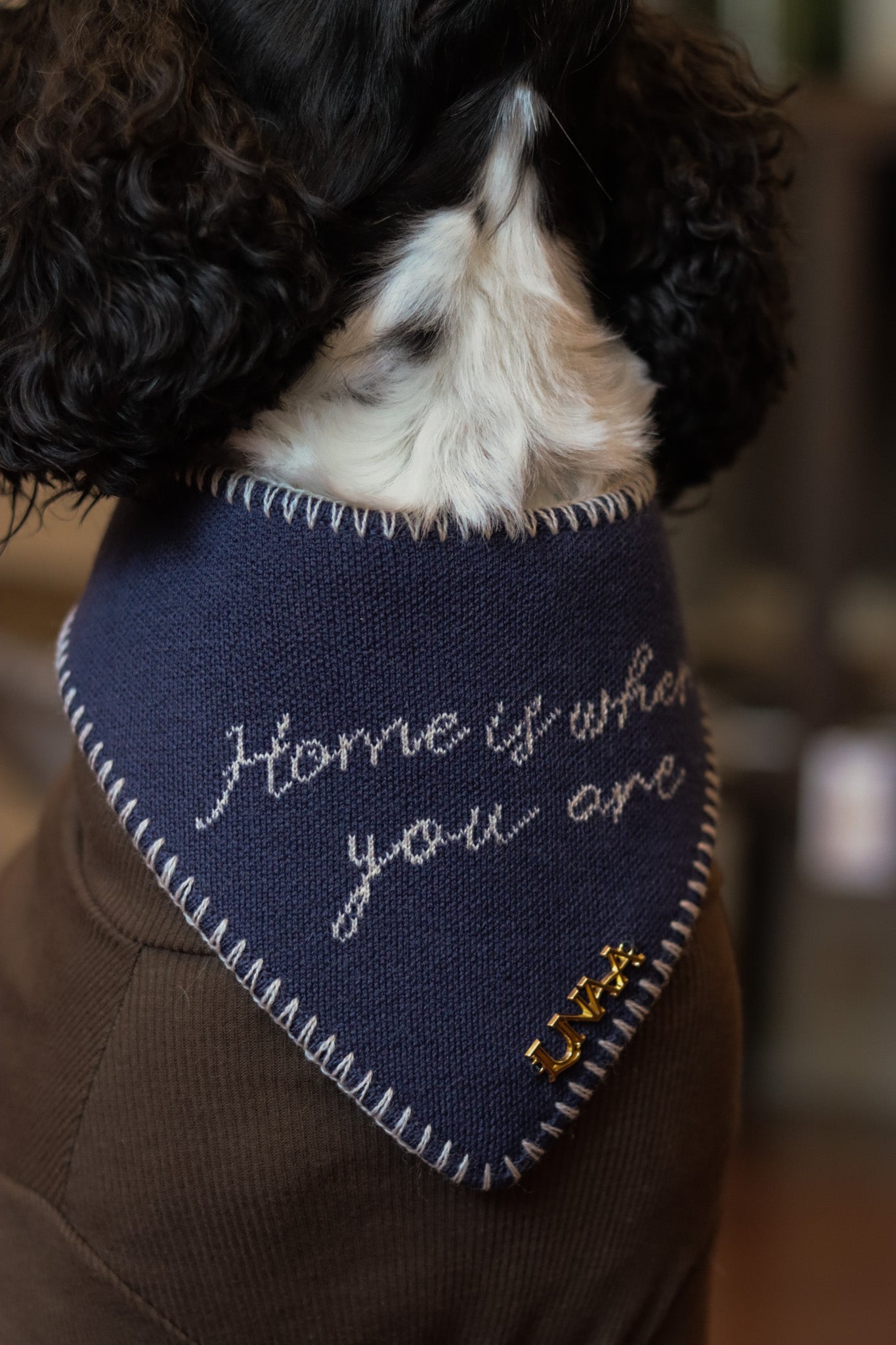 HOME IS WHERE YOU ARE