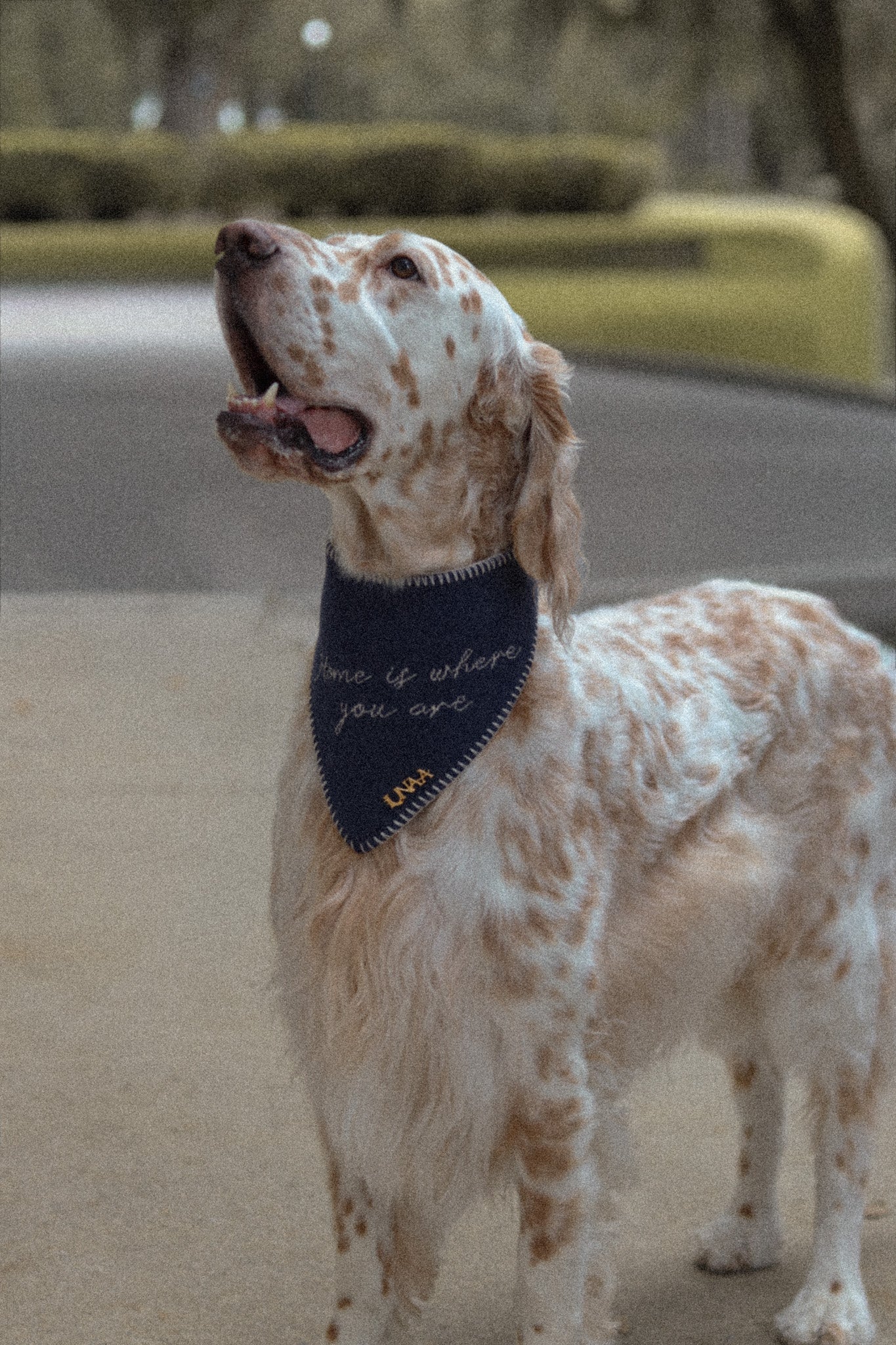 HOME IS WHERE YOU ARE