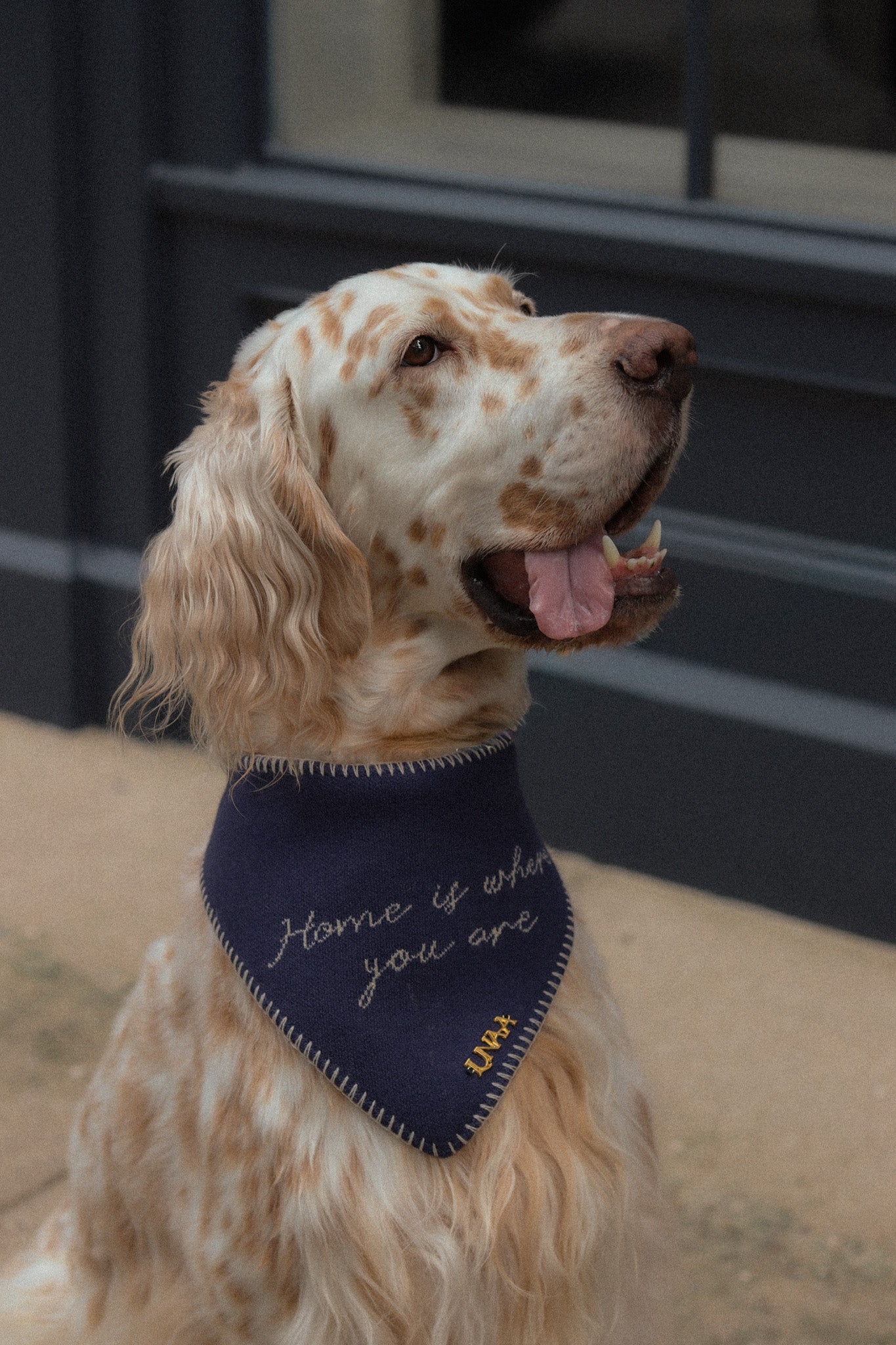 HOME IS WHERE YOU ARE