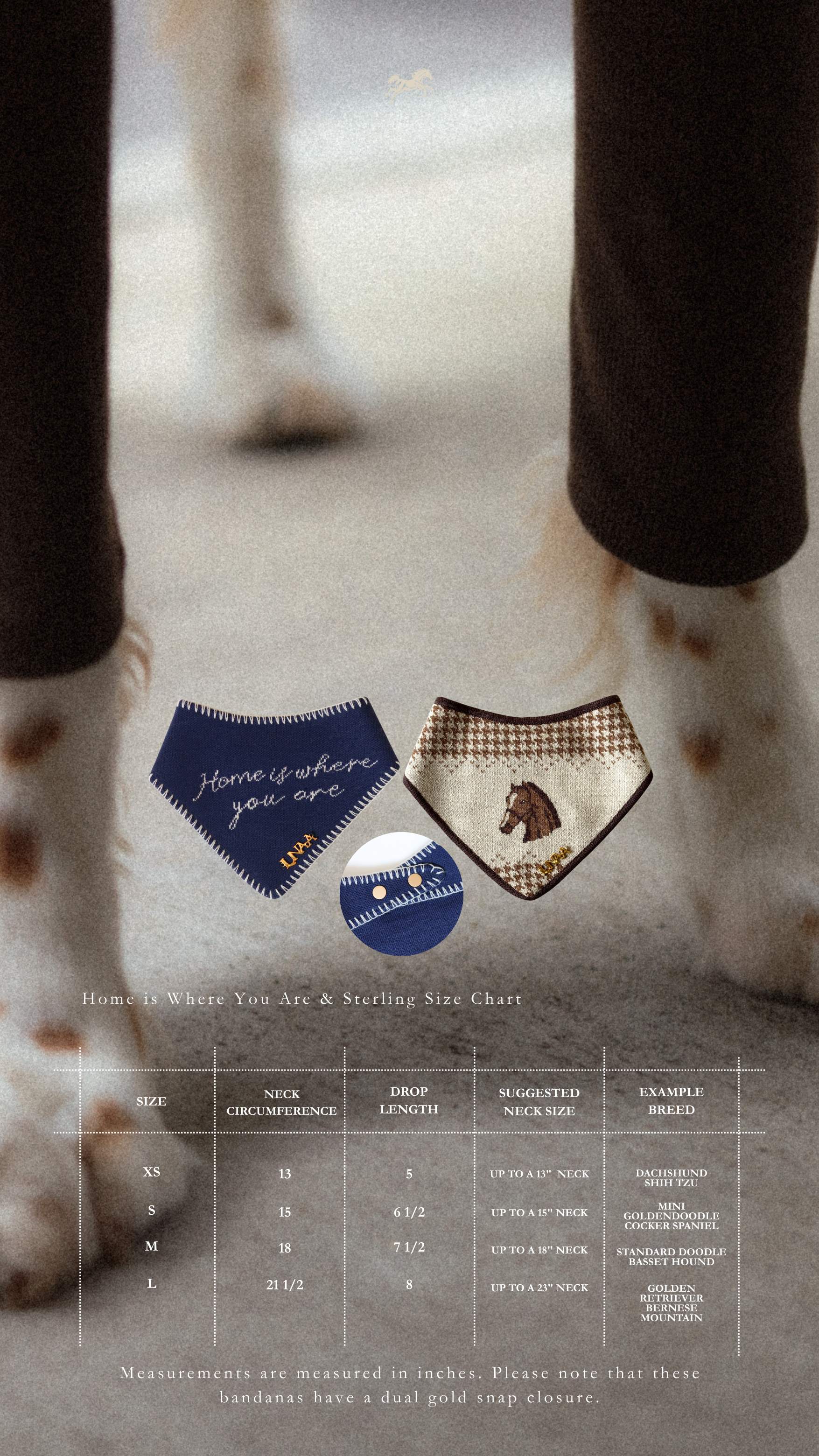 HOME IS WHERE YOU ARE