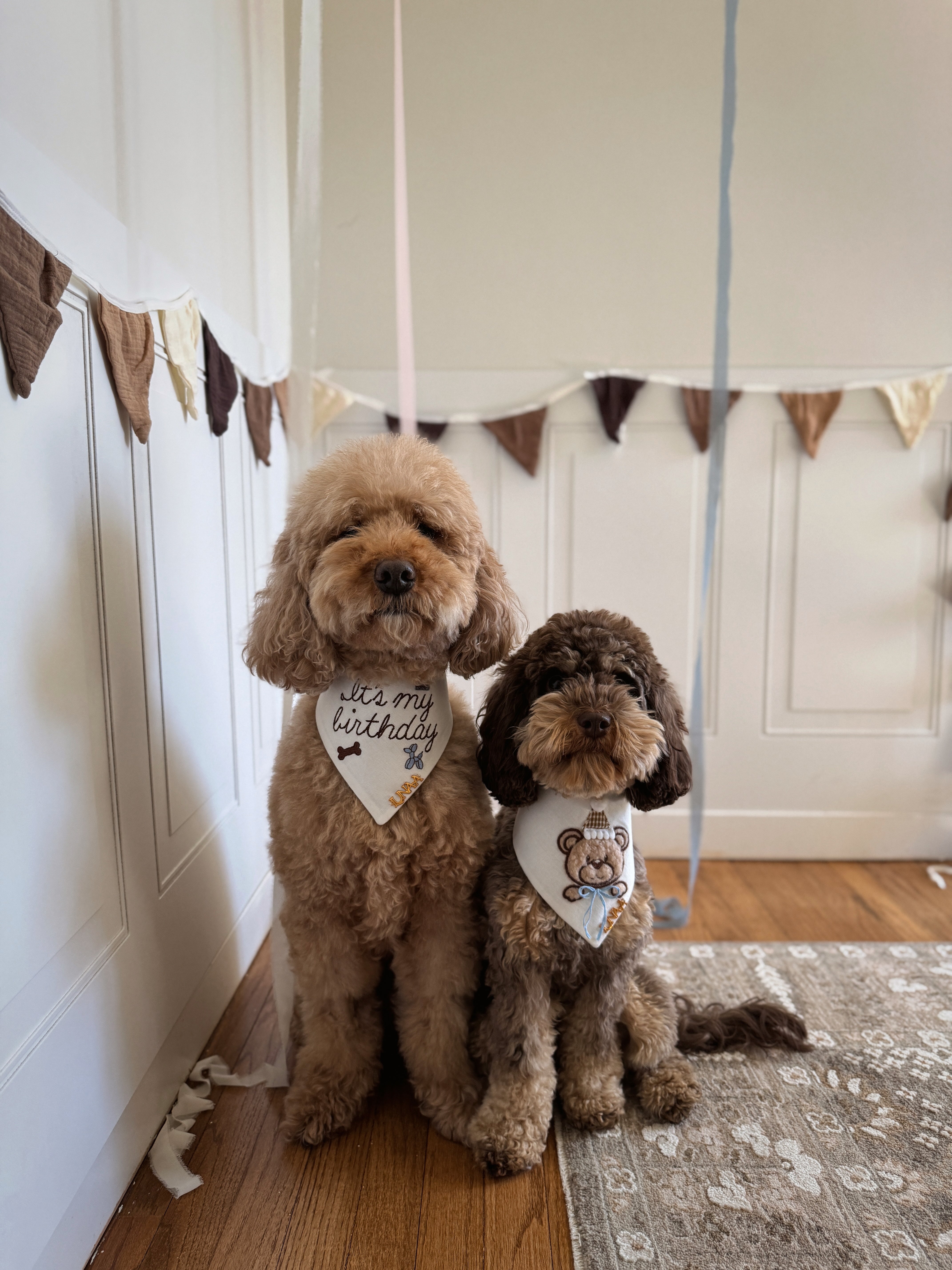 The Celebration Bandana
