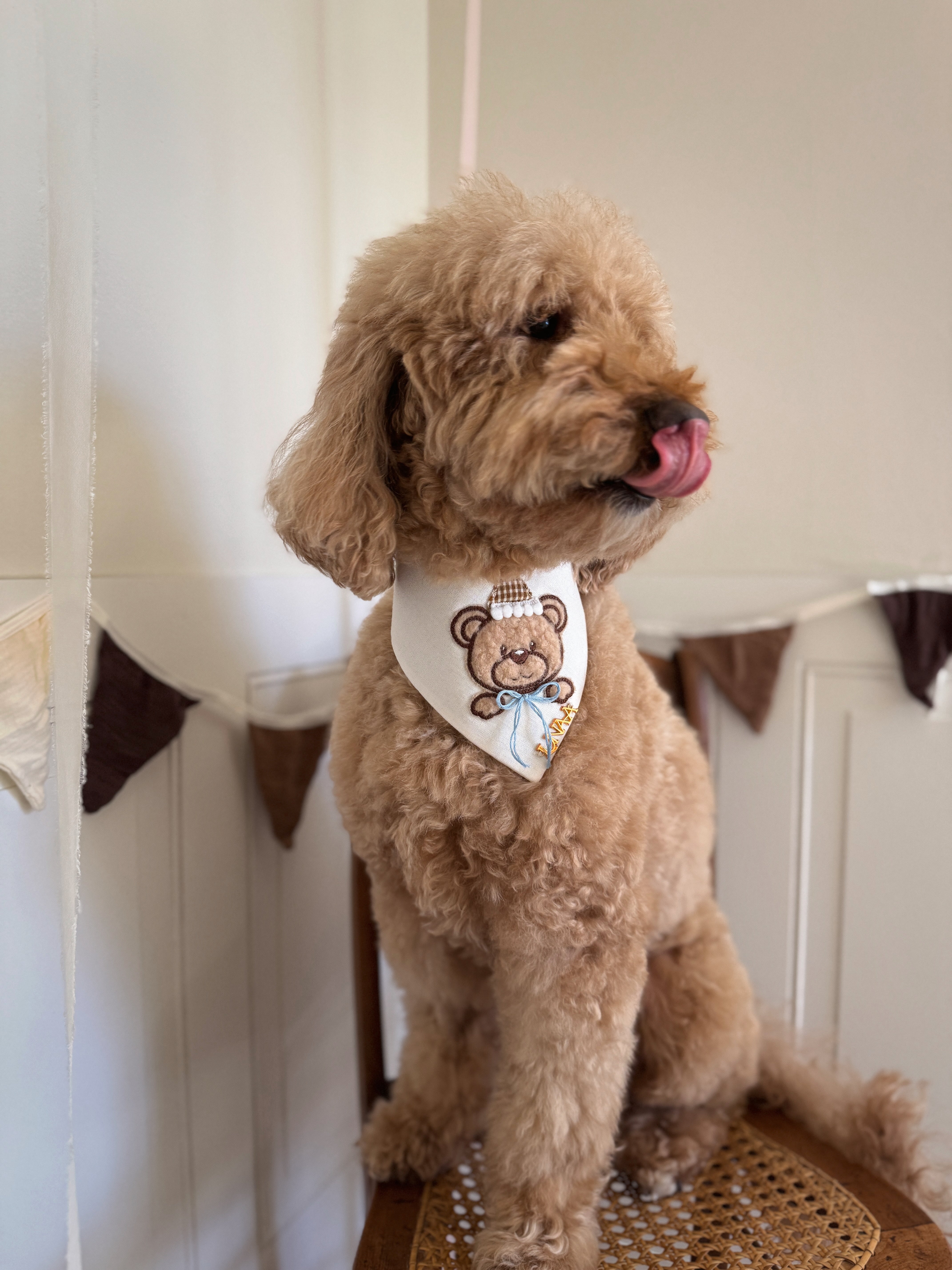 Teddy's Birthday