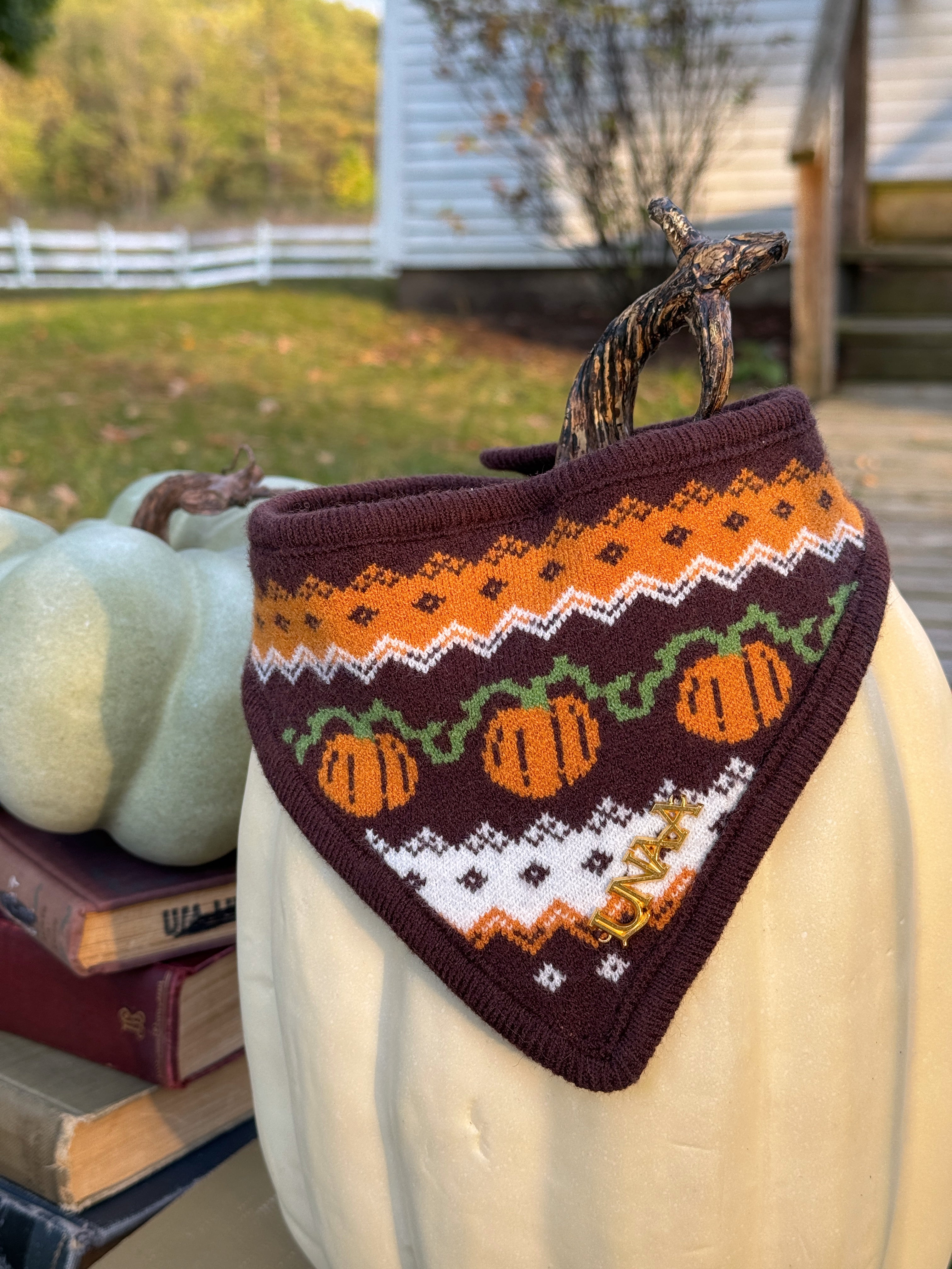 JACK'S HARVEST | BANDANA