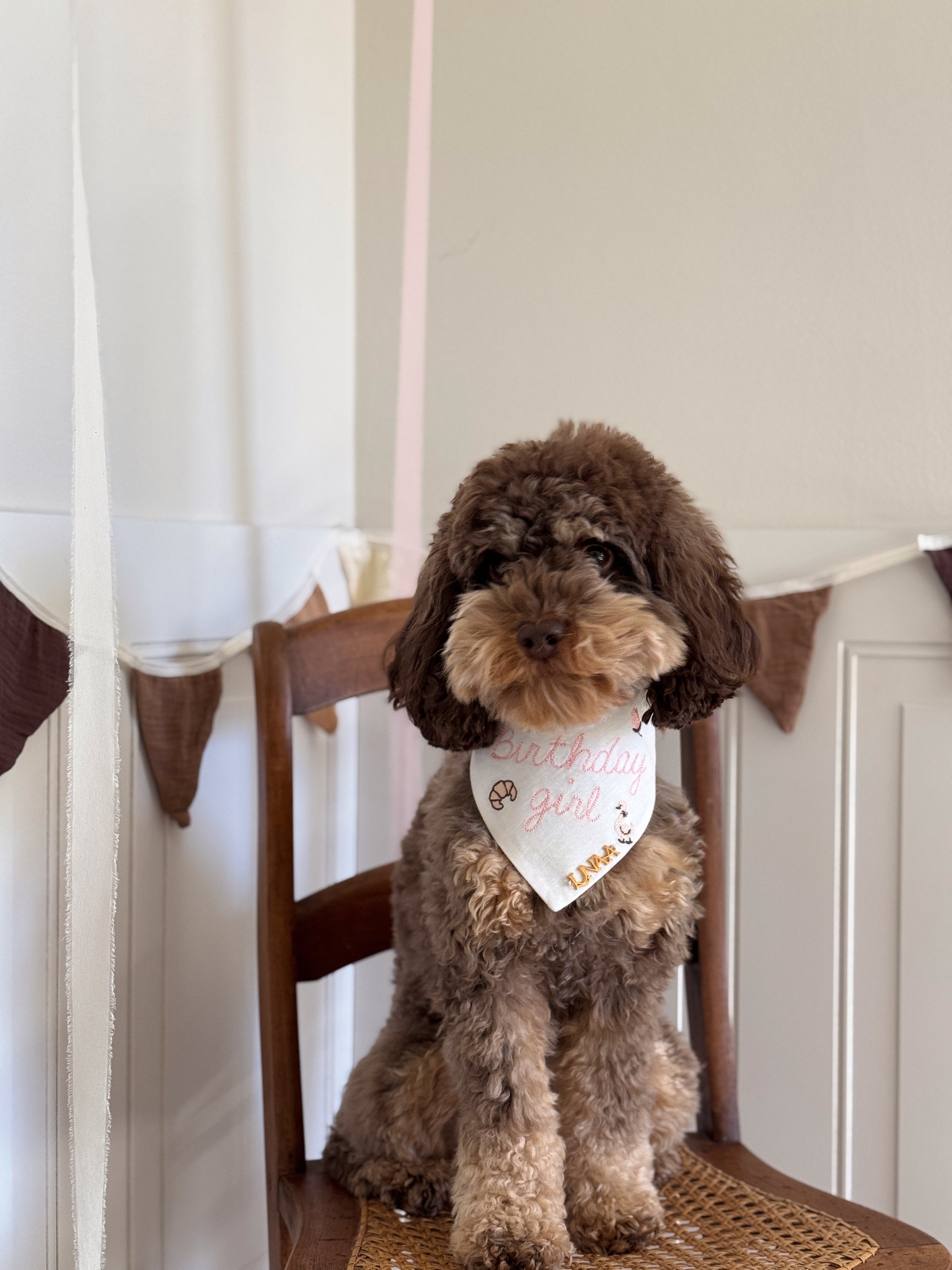 The Celebration Bandana
