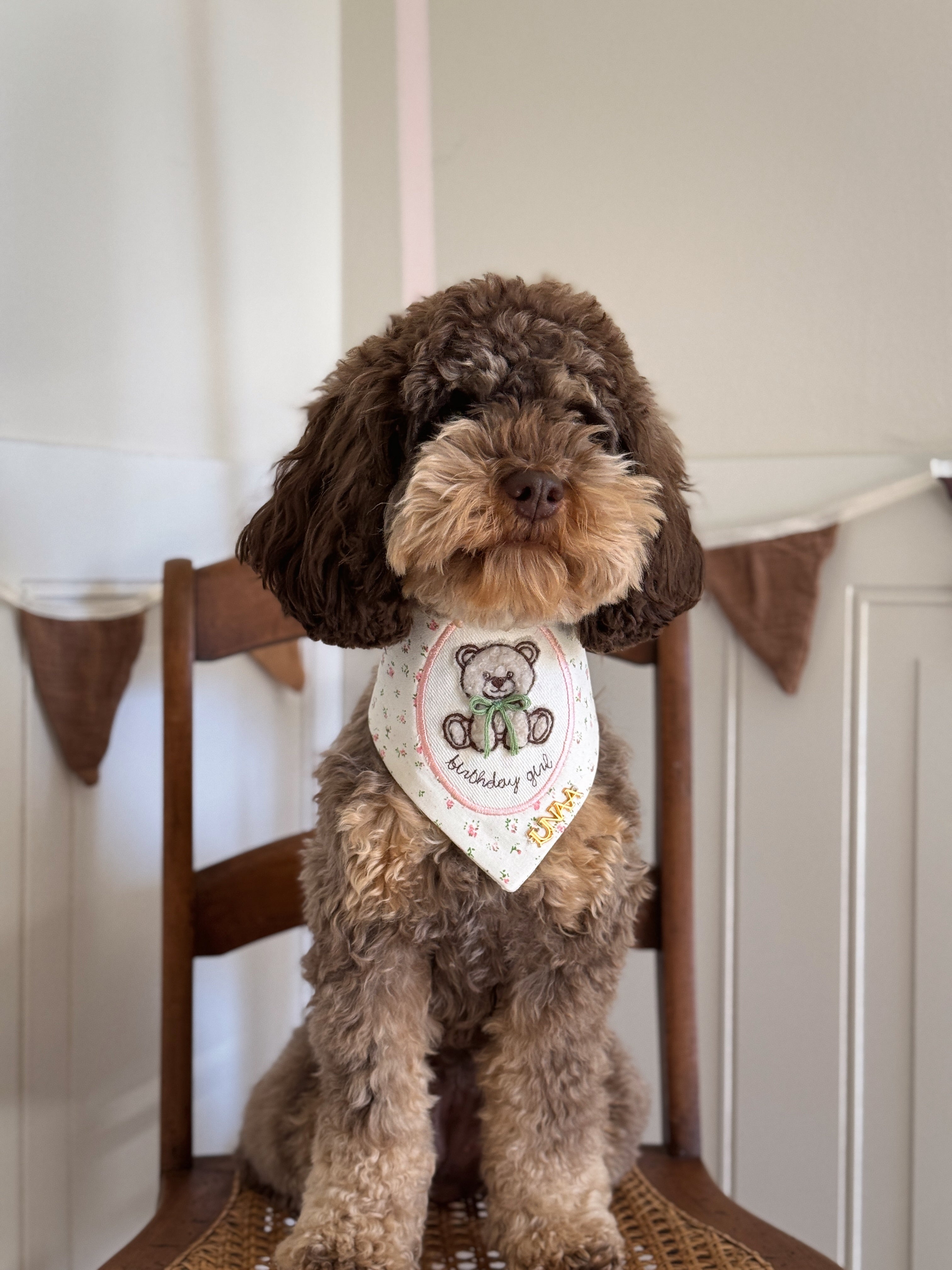 Timeless Teddy