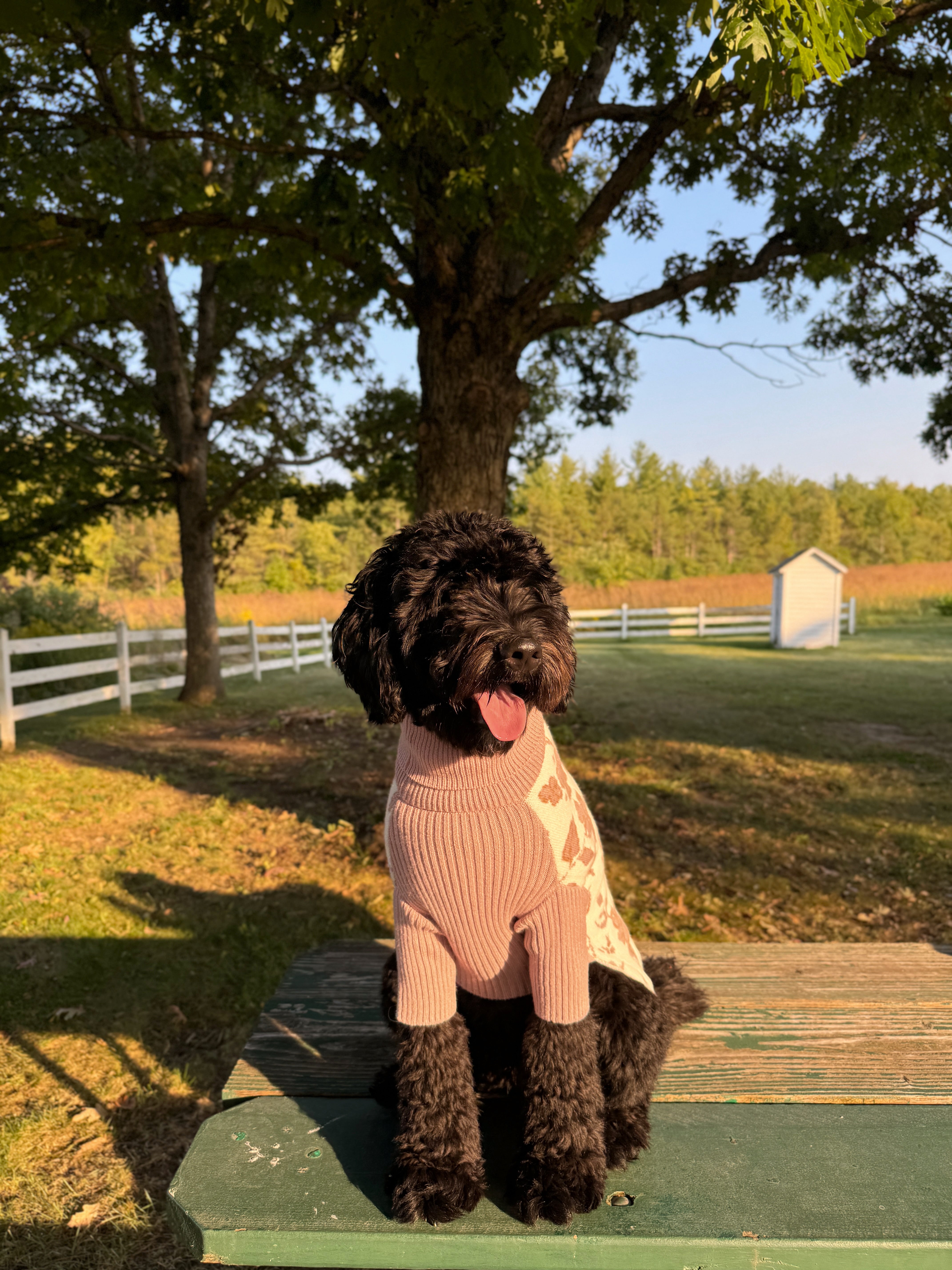 MATILDA | KNITWEAR