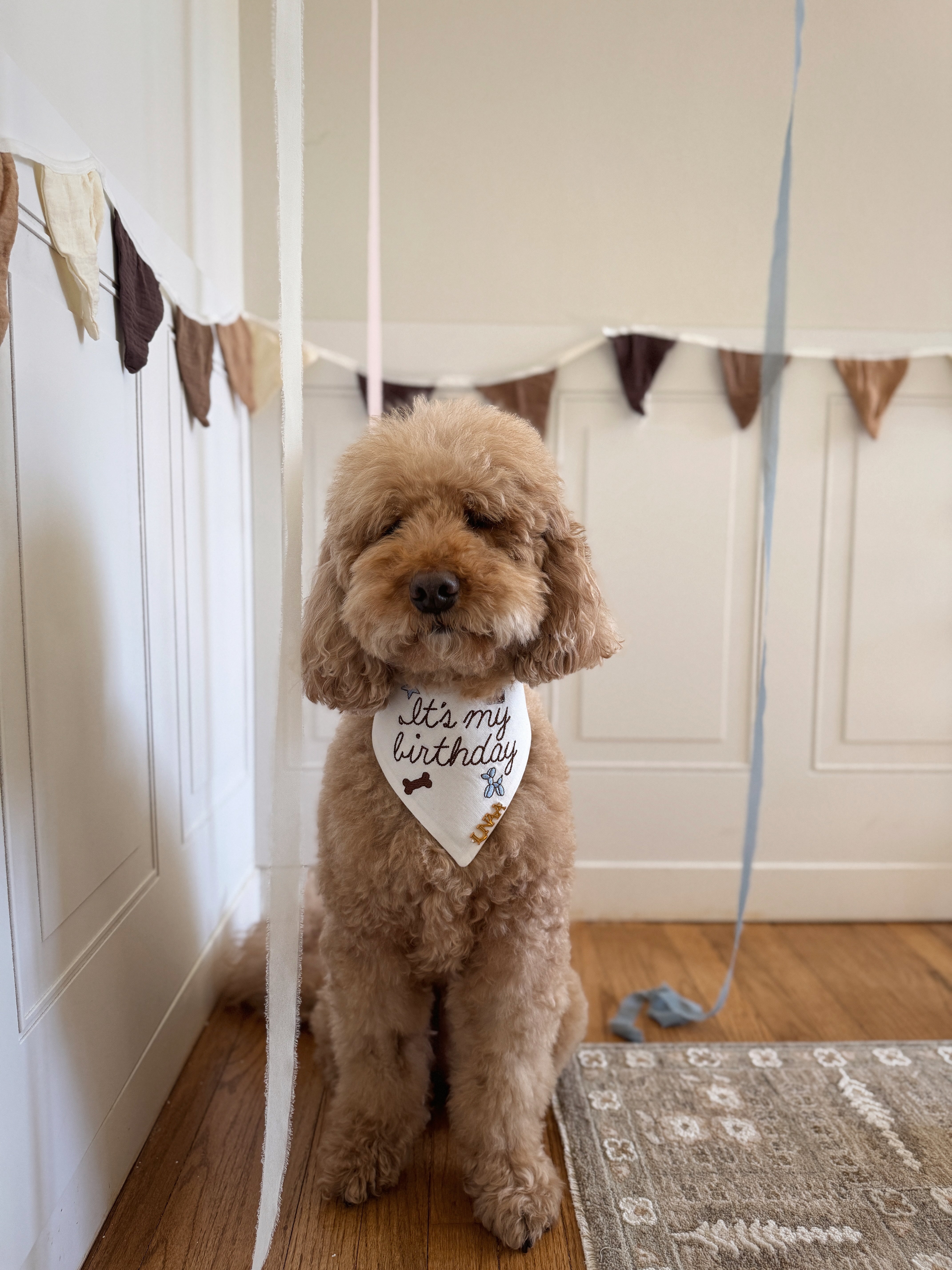 The Celebration Bandana