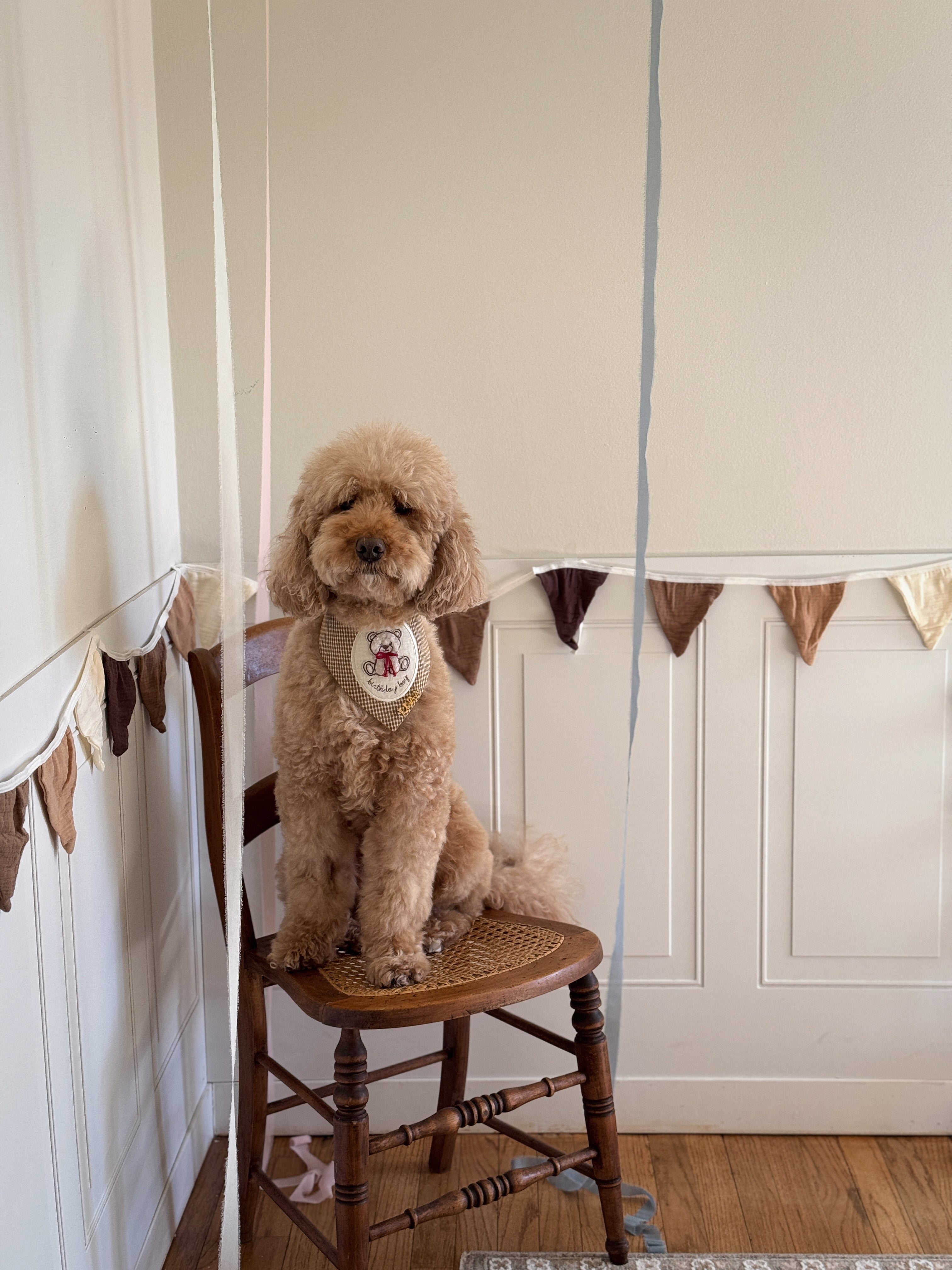 Timeless Teddy