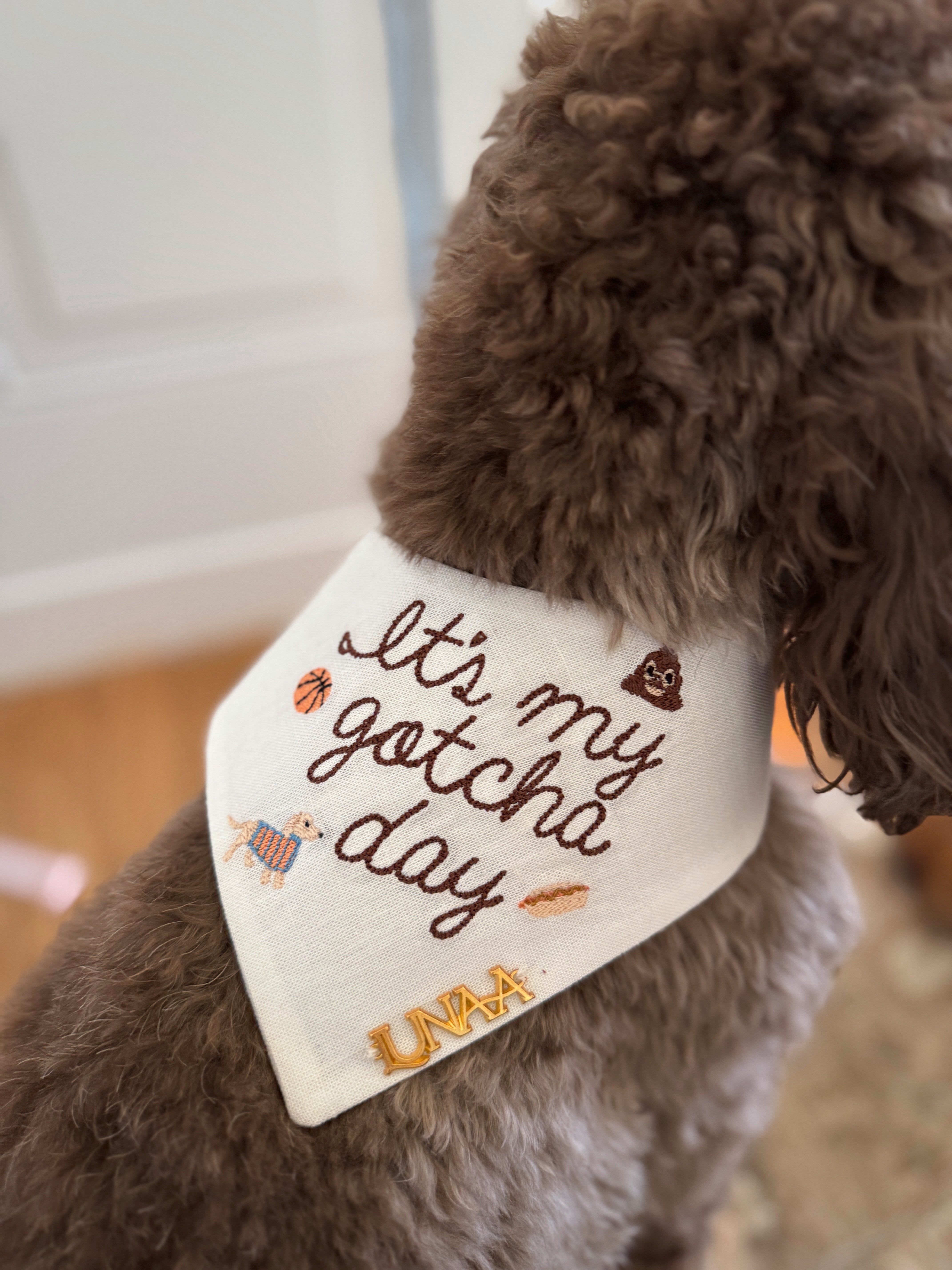The Celebration Bandana