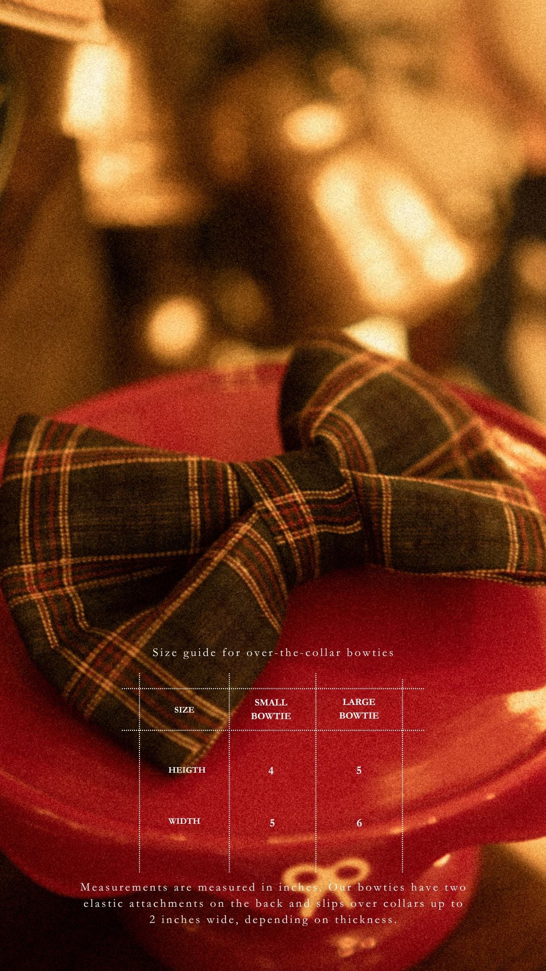 Green Holiday Bowtie