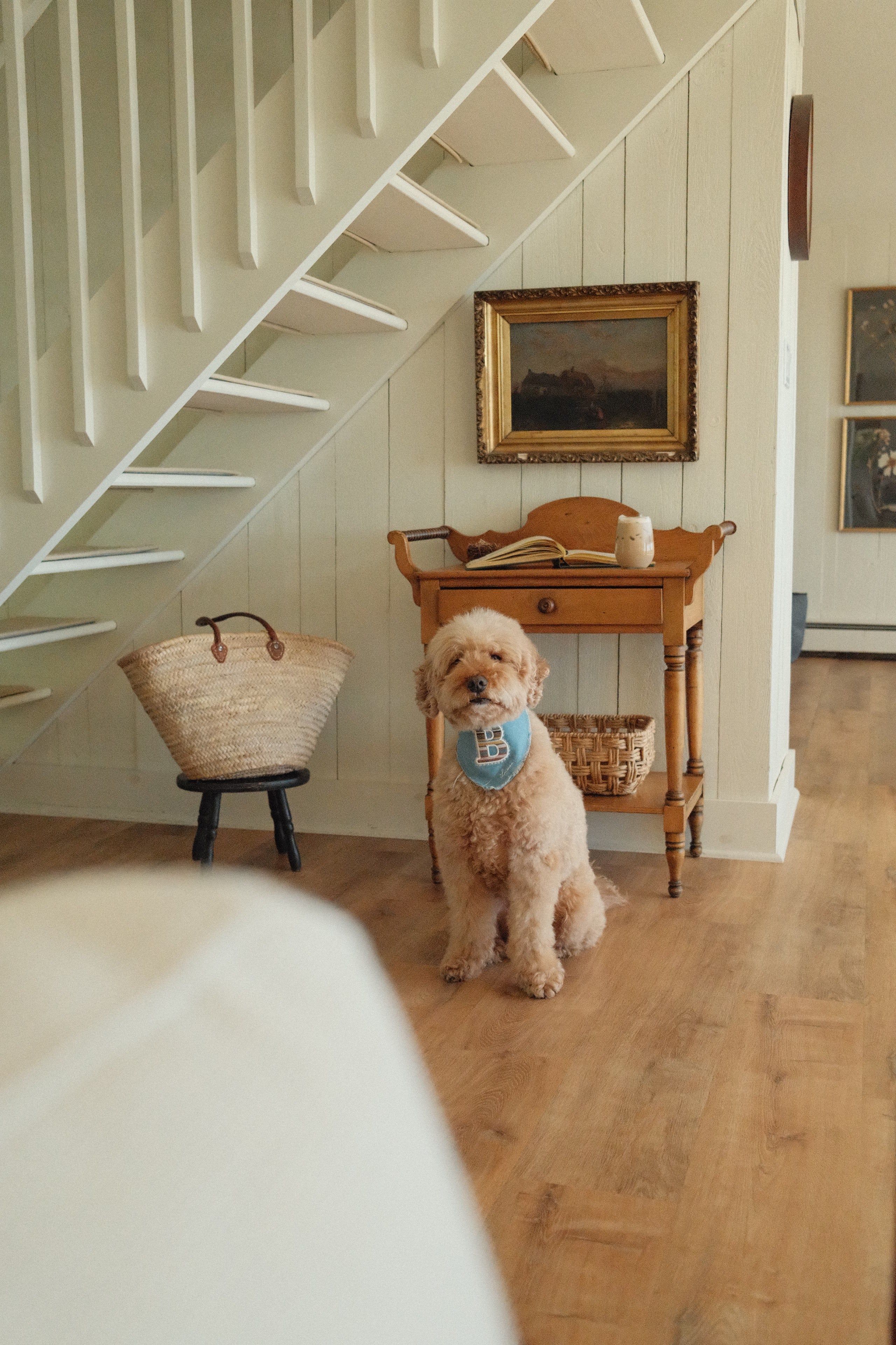 The August Blue Bandana