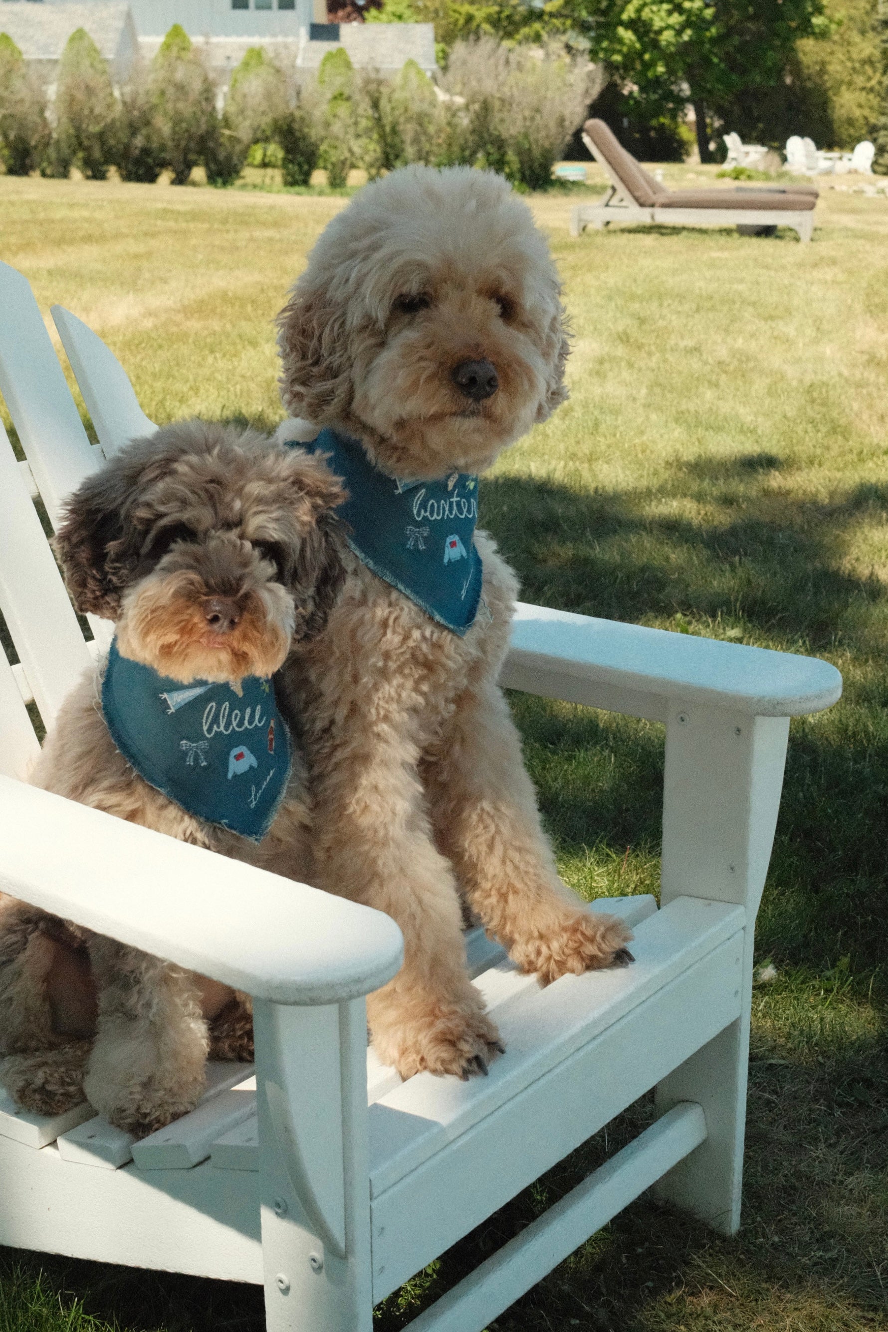 The Lakeside Bandana