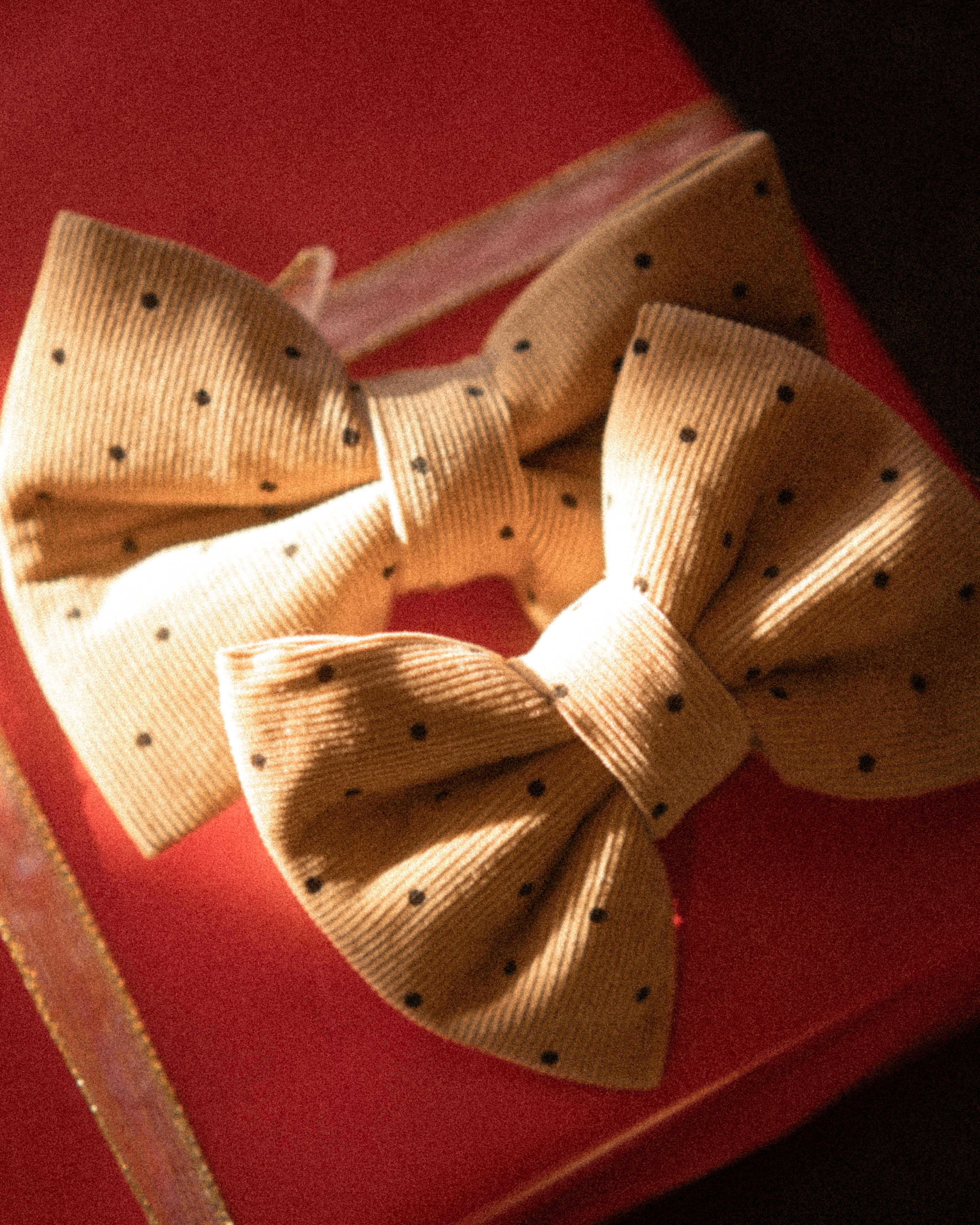 Camel Polka Dot Bowtie