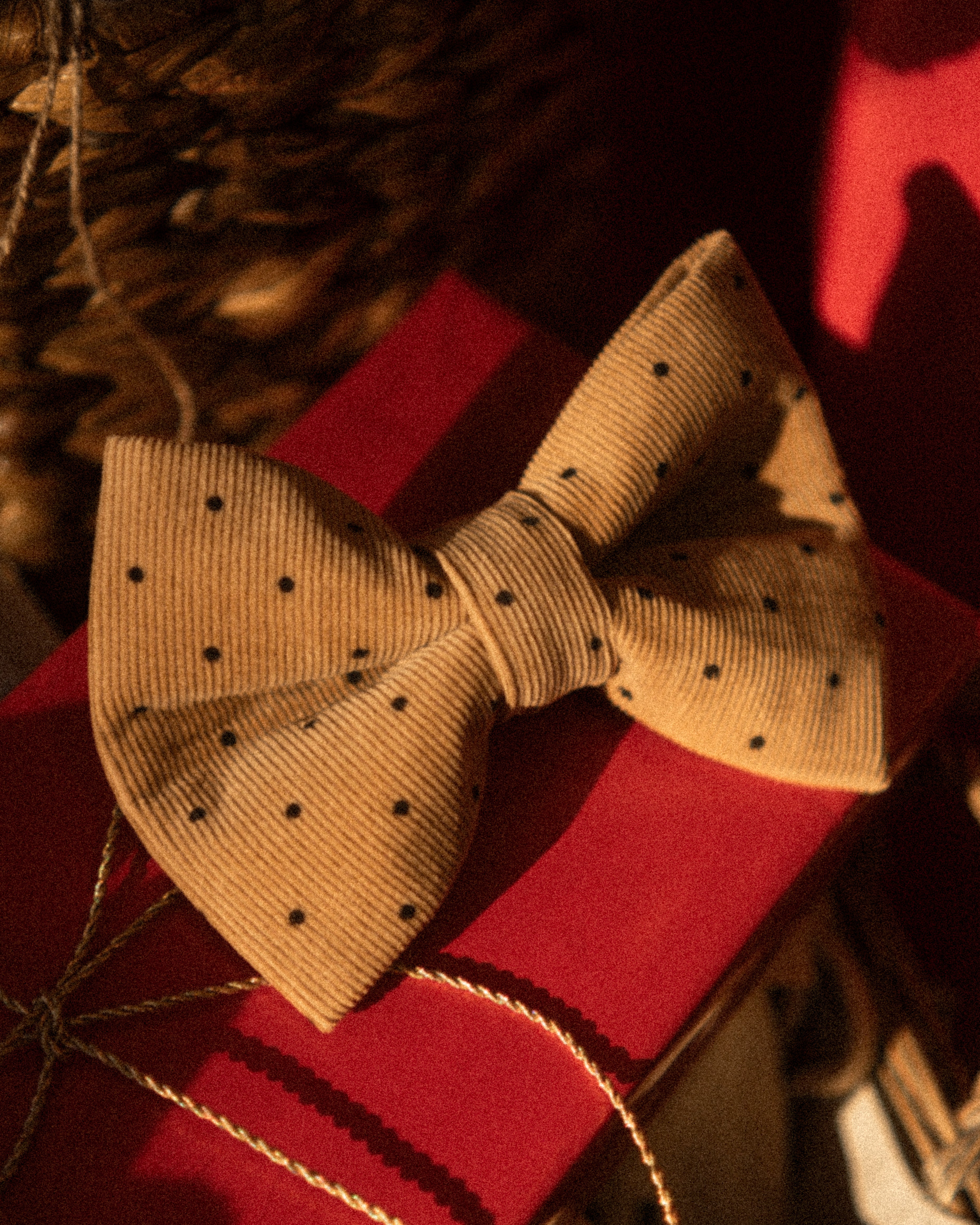 Camel Polka Dot Bowtie