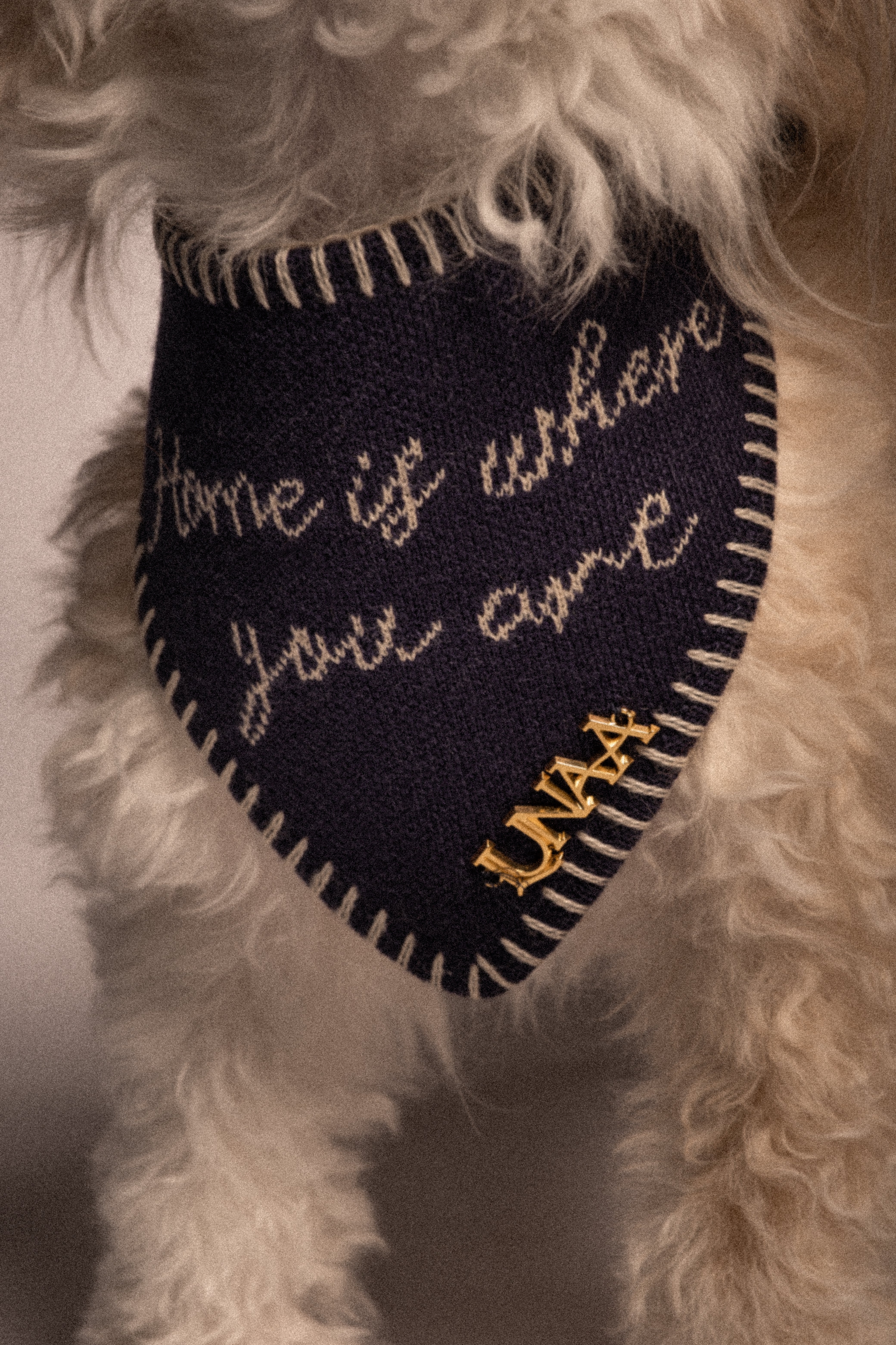 HOME IS WHERE YOU ARE