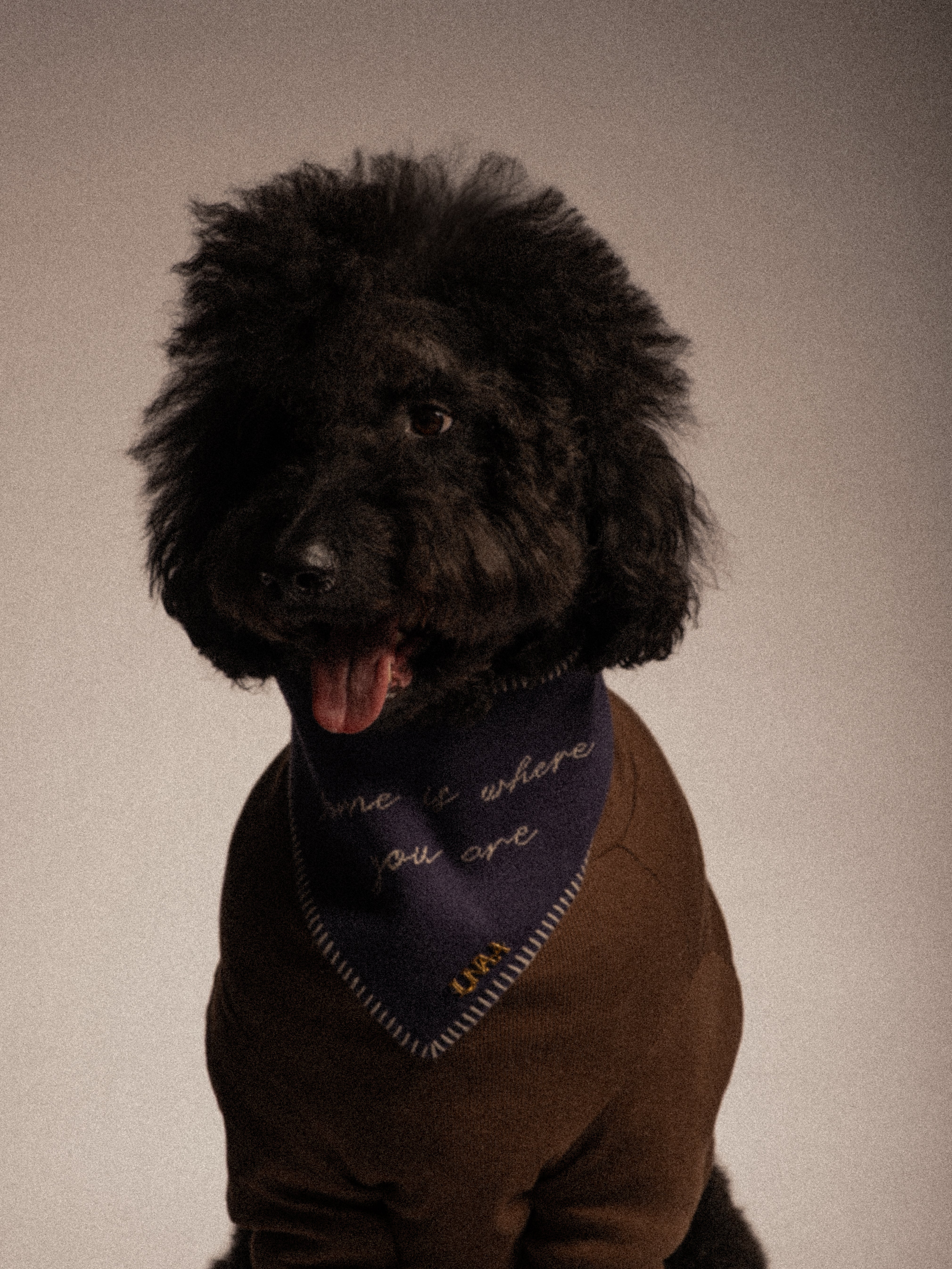 HOME IS WHERE YOU ARE