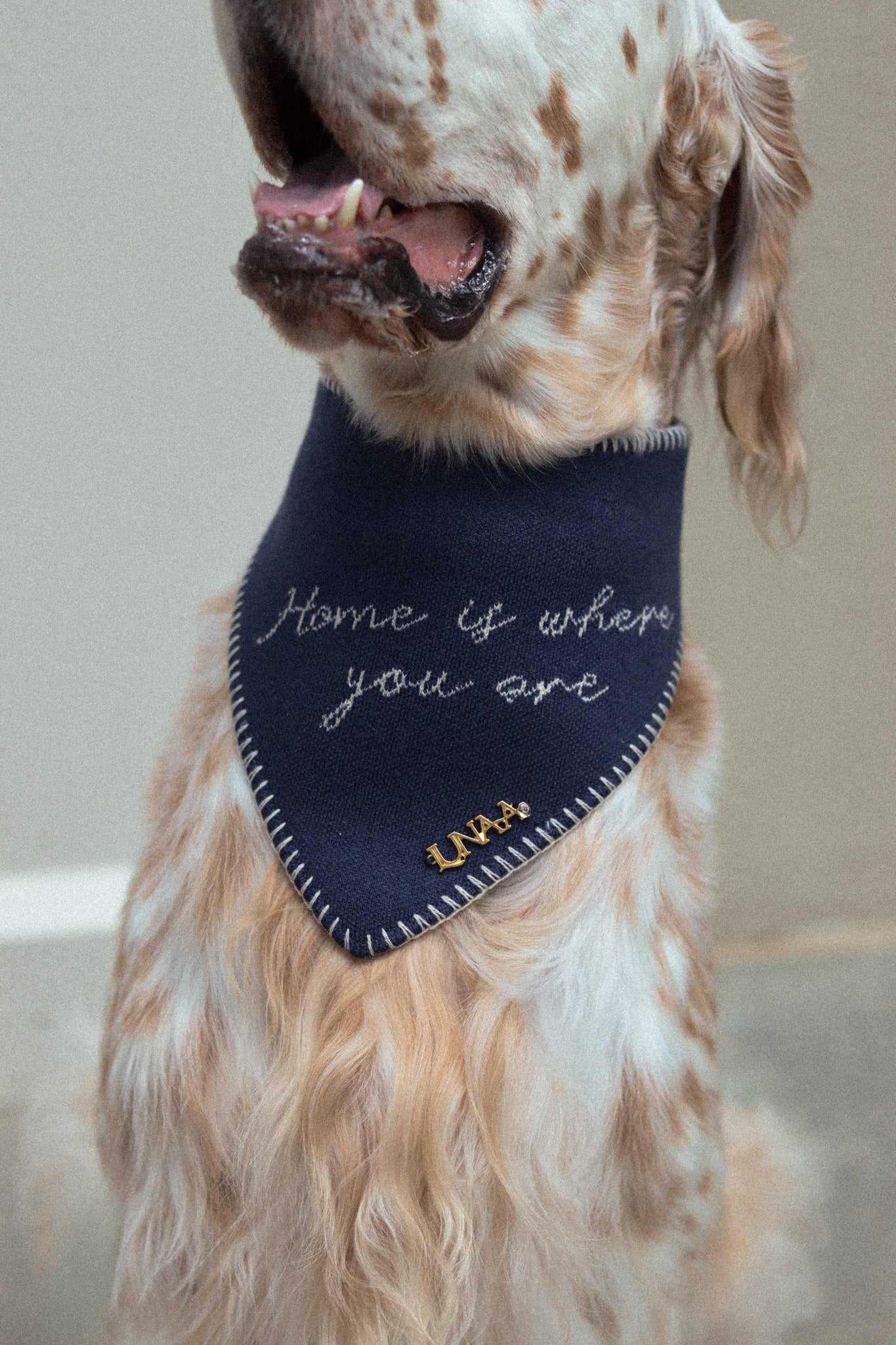 HOME IS WHERE YOU ARE