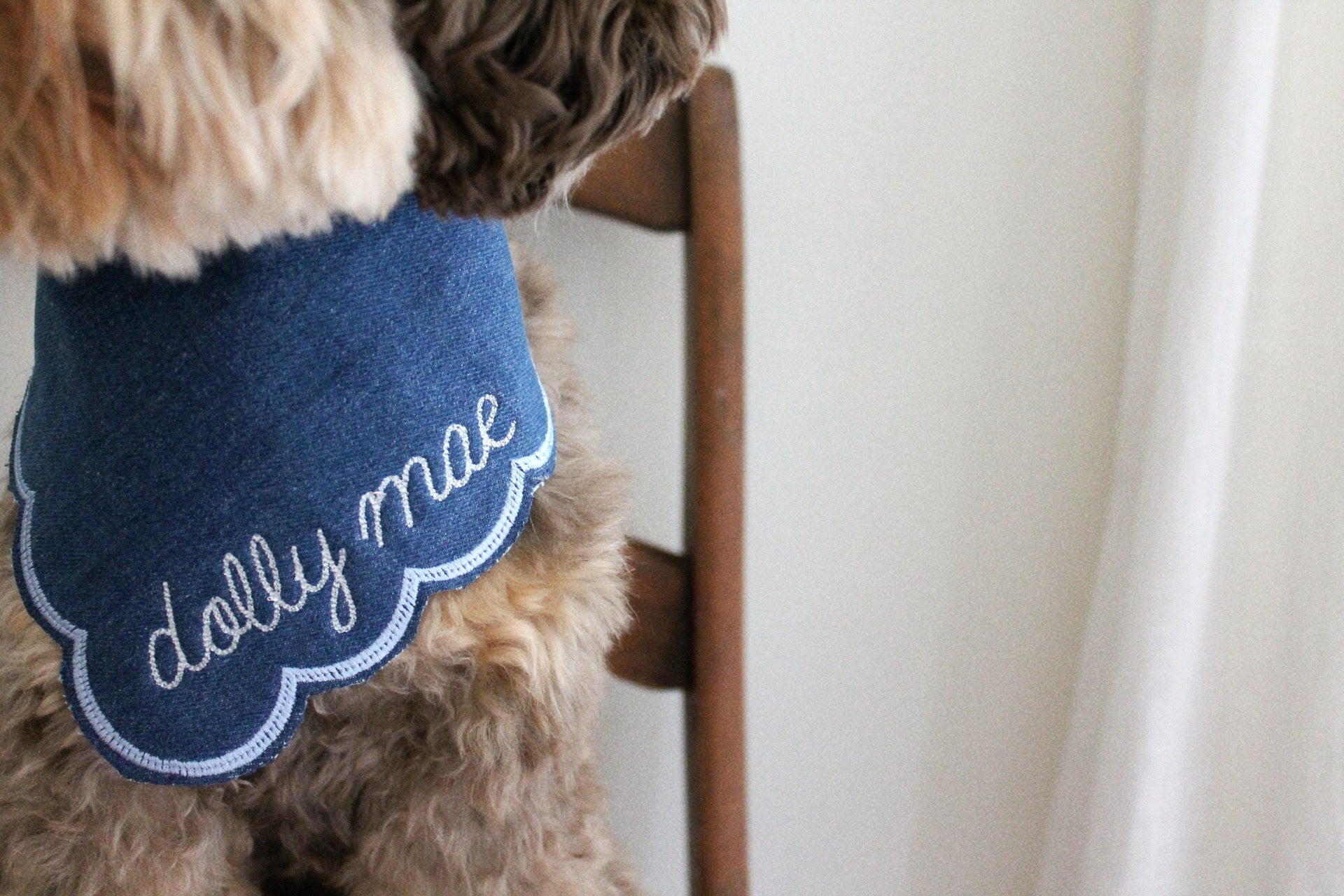 AZUL | BANDANA