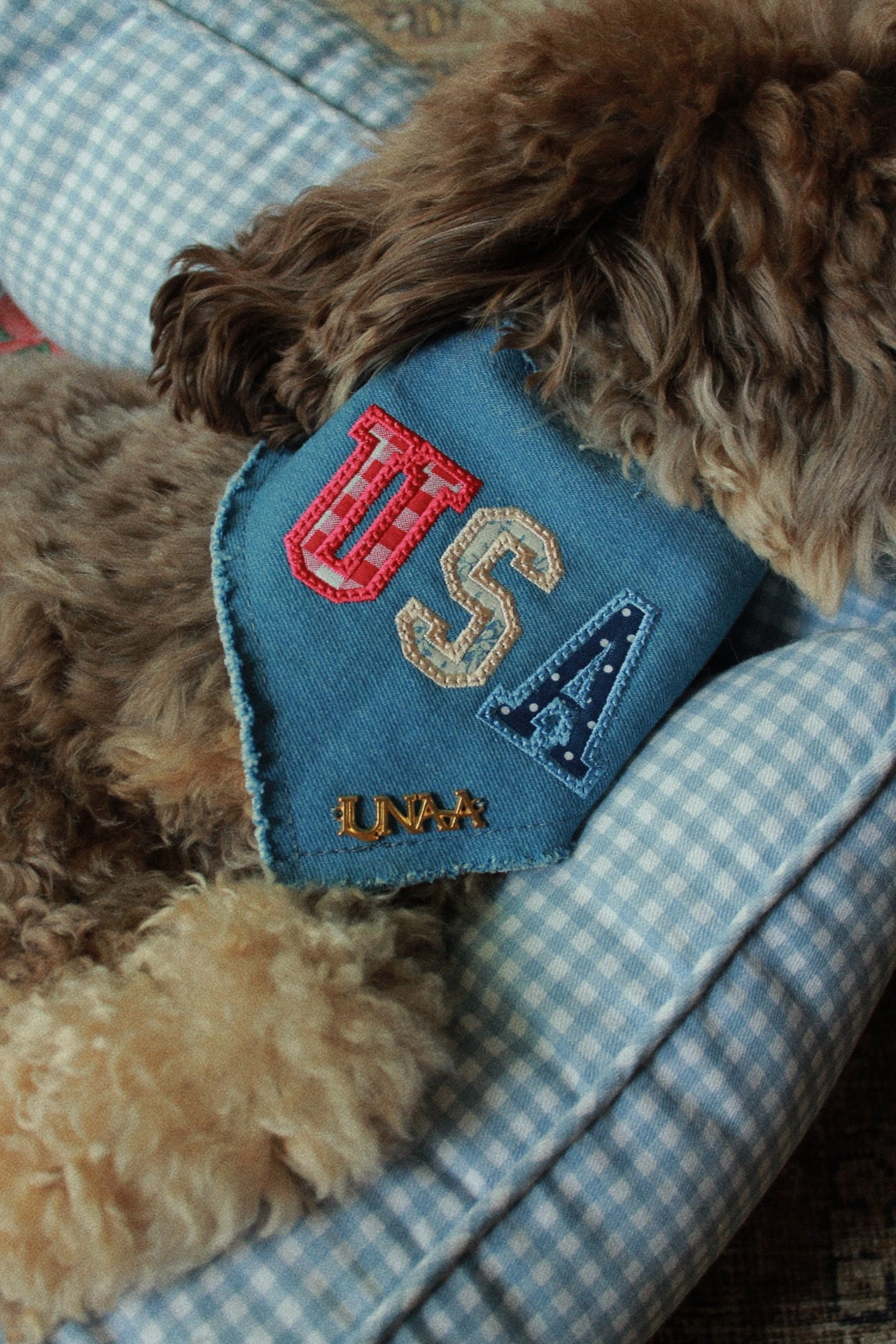 HOMESTEAD | BANDANA